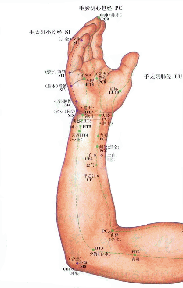 神门穴 神门穴位于手腕部位,手腕关节手掌侧,尺侧腕屈肌腱的桡侧